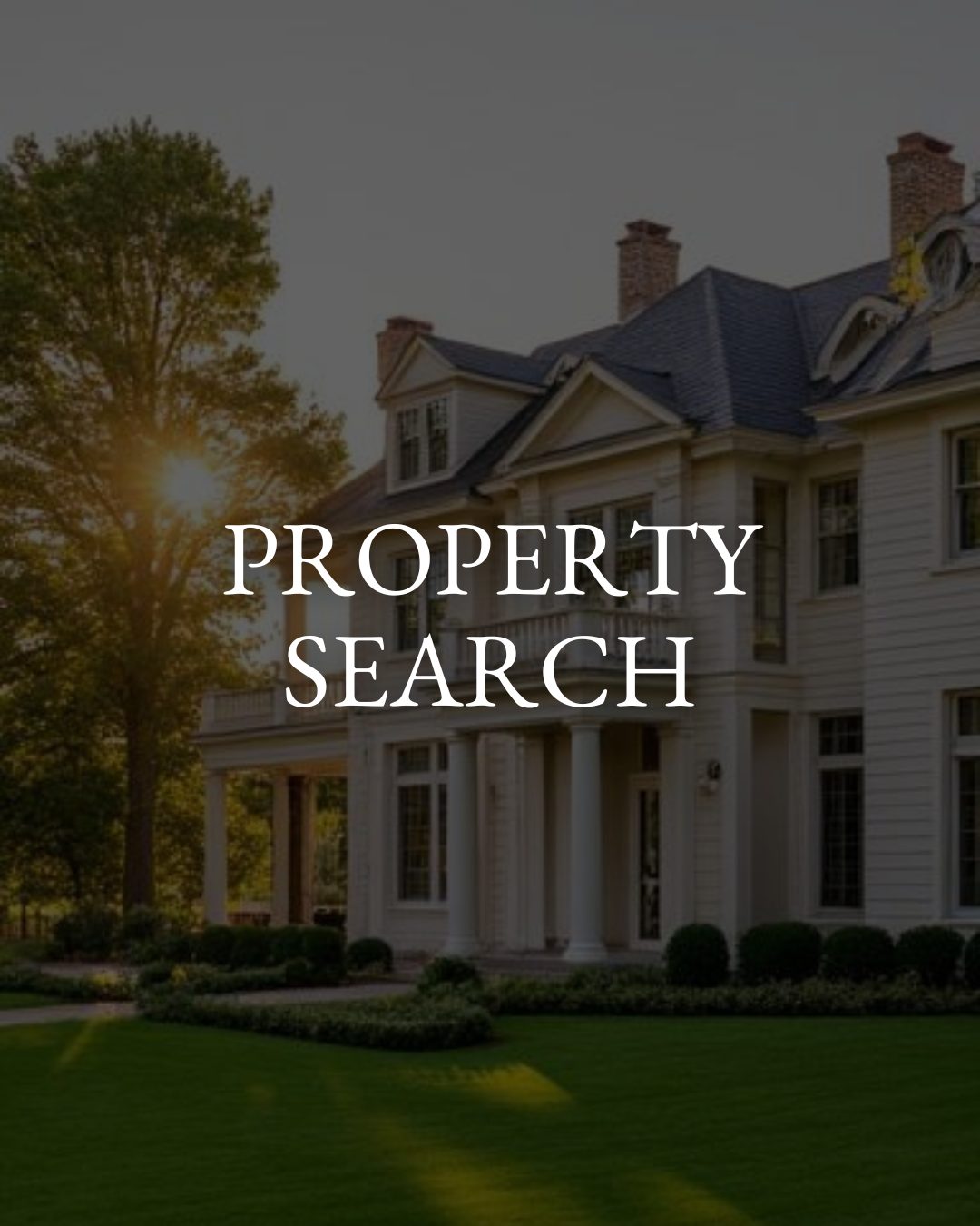 Website Materials (35)